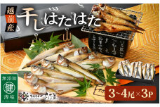 越前産 干しはたはた（3～4尾）× 3パック 越前塩のみで仕上げた一塩干し！【干物 ひもの ハタハタ 海鮮 冷凍 個包装】 [e04-a108]