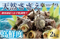 天然 さざえ ≪2kg≫ 加熱用 高鮮度 急速冷凍【海鮮 BBQ バーベキュー 栄螺 サザエ】 [e04-a057]