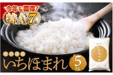 特A通算7回！令和6年産 お米 いちほまれ 5kg 福井県産【米 コメ kome 5キロ 精米 白米】 [e27-a033_r06]