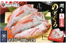 のどぐろ 開き 大サイズ × 2尾（170～200g / 尾）【干物 ひもの 無添加 のどぐろ ノドグロ あかむつ アカムツ 冷凍 贈答 化粧箱入 個包装】 [e04-b030]