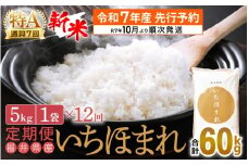 【新米・先行予約】令和7年産 お米 定期便 12回 いちほまれ 5kg × 12回（計60kg）特A 通算7回！福井県産【米 コメ kome 12ヶ月連続 計60キロ 精米 白米】【令和7年10月より順次発送予定】 [e27-n003]