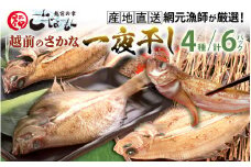[e15-a012] 【先行予約】越前のさかな 一夜干し4種（計6パック）産地直送！網元漁師厳選！【赤かれい・白かれい・べたかれい・はたはた】【5月中旬より順次発送予定】
