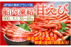 甘えび 大サイズ35～40尾（計500g）船内凍結 福井県沖から直送！鮮度と旨味に自信あり【福井漁連 ブランド品 甘エビ あまえび 】 [e12-a040]