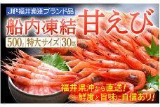 甘えび 特大サイズ30尾（計500g）船内凍結 福井県沖から直送！鮮度と旨味に自信あり【福井漁連 ブランド品 甘エビ あまえび 】 [e12-a036]