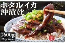 ホタルイカ沖漬け 120g × 5パック 福井の網元漁師「福丸」が厳選！全国トップクラスの漁獲量 越前町よりお届け [e15-a008]
