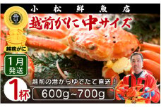 越前がに本場の越前町からお届け！ 越前がに 浜茹で 中サイズ（生で600～700g） × 1杯【かに カニ 蟹】【福井県 越前町 雄 ズワイガニ ボイル 冷蔵 越前ガニ 越前かに 越前カニ ずわいがに ずわい蟹 かに カニ 蟹】【1月発送分】希望日指定可 備考欄に希望日をご記入ください [e23-x003_01]