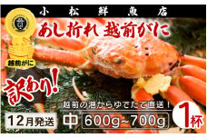 【訳あり】越前がに本場の越前町からお届け！足折れ 越前がに 浜茹で 中サイズ（生で600～700g） × 1杯【かに カニ 蟹】【福井県 越前町 雄 ズワイガニ ボイル 冷蔵 越前ガニ 越前かに 越前カニ ずわいがに ずわい蟹 かに カニ 蟹】【12月発送分】希望日指定可 備考欄に希望日をご記入ください [e23-x001_12]