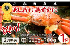 【訳あり】越前がに本場の越前町からお届け！足折れ 越前がに 浜茹で 中サイズ（生で600～700g） × 1杯【かに カニ 蟹】【福井県 越前町 雄 ズワイガニ ボイル 冷蔵 越前ガニ 越前かに 越前カニ ずわいがに ずわい蟹 かに カニ 蟹】【2月発送分】希望日指定可 備考欄に希望日をご記入ください [e23-x001_02]