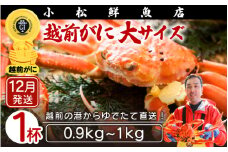 越前がに本場の越前町からお届け！ 越前がに 浜茹で 大サイズ（生で0.9～1kg） × 1杯【かに カニ 蟹】【福井県 越前町 雄 ズワイガニ ボイル 冷蔵 越前ガニ 越前かに 越前カニ ずわいがに ずわい蟹 かに カニ 蟹】【12月発送分】希望日指定可 備考欄に希望日をご記入ください [e23-x004_12]