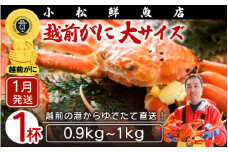 越前がに本場の越前町からお届け！ 越前がに 浜茹で 大サイズ（生で0.9～1kg） × 1杯【かに カニ 蟹】【福井県 越前町 雄 ズワイガニ ボイル 冷蔵 越前ガニ 越前かに 越前カニ ずわいがに ずわい蟹 かに カニ 蟹】【1月発送分】希望日指定可 備考欄に希望日をご記入ください [e23-x004_01]