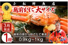 越前がに本場の越前町からお届け！ 越前がに 浜茹で 大サイズ（生で0.9～1kg） × 1杯【かに カニ 蟹】【福井県 越前町 雄 ズワイガニ ボイル 冷蔵 越前ガニ 越前かに 越前カニ ずわいがに ずわい蟹 かに カニ 蟹】【3月発送分】希望日指定可 備考欄に希望日をご記入ください [e23-x004_03]