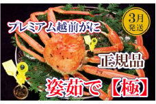 越前がに本場の越前町からお届け！ 完全なる越前がに「極」 × 1杯 桐箱入り！越前がにの頂点【かに カニ 蟹】【福井県 越前町 雄 ズワイガニ 生 ボイル 冷蔵 越前ガニ 越前かに 越前カニ ずわいがに ずわい蟹 かに カニ 蟹】【3月発送分】【生でお届け】希望日指定可 備考欄に希望日をご記入ください [e37-x013_03a]