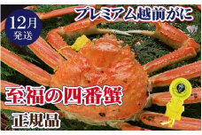 越前がに本場の越前町からお届け！ 越前がに × 1杯（四番蟹）至福のプレミアム越前がに【かに カニ 蟹】【福井県 越前町 雄 ズワイガニ 生 ボイル 冷蔵 越前ガニ 越前かに 越前カニ ずわいがに ずわい蟹 かに カニ 蟹】【12月発送分】【浜茹でお届け】希望日指定可 備考欄に希望日をご記入ください [e37-x003_12b]