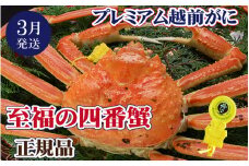 越前がに本場の越前町からお届け！ 越前がに × 1杯（四番蟹）至福のプレミアム越前がに【かに カニ 蟹】【福井県 越前町 雄 ズワイガニ 生 ボイル 冷蔵 越前ガニ 越前かに 越前カニ ずわいがに ずわい蟹 かに カニ 蟹】【3月発送分】【生でお届け】希望日指定可 備考欄に希望日をご記入ください [e37-x003_03a]