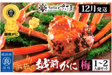越前がに本場の越前町からお届け！越前がに 浜茹で≪梅セット≫1～2人前 かに酢 かにの食べ方しおり かにスプーン付き【かに カニ 蟹】【福井県 越前町 雄 ズワイガニ ボイル 冷蔵 越前ガニ 越前かに 越前カニ ずわいがに ずわい蟹 かに カニ 蟹】【12月発送分】【中サイズ：500～700g × 1杯】（※茹で前重量）希望日指定可 備考欄に希望日をご記入ください [e04-x009_12a]