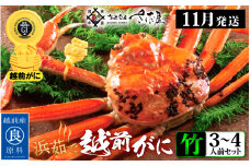 越前がに本場の越前町からお届け！越前がに 浜茹で≪竹セット≫2～3人前 かに酢 かにの食べ方しおり かにスプーン付き【かに カニ 蟹】【福井県 越前町 雄 ズワイガニ ボイル 冷蔵 越前ガニ 越前かに 越前カニ ずわいがに ずわい蟹 かに カニ 蟹】【11月発送分】【中サイズ：600～800g × 1杯（※茹で前重量）】希望日指定可 備考欄に希望日をご記入ください [e04-x008_11a]