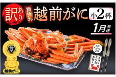 【訳あり】≪浜茹で≫指折れ 越前がに（小） × 2杯 食べ方しおり かにスプーン付き【雄 ズワイガニ ずわいがに 越前ガニ 姿 ボイル 冷蔵 福井県】【1月発送分】希望日指定可 備考欄に希望日をご記入ください [e15-x001_01]