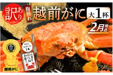 【訳あり】≪浜茹で≫指折れ 越前がに（大） × 1杯 食べ方しおり かにスプーン付き【雄 ズワイガニ ずわいがに 越前ガニ 姿 ボイル 冷蔵 福井県】【2月発送分】希望日指定可 備考欄に希望日をご記入ください [e15-x005_02]