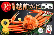 【訳あり】≪浜茹で≫指折れ 越前がに（中） × 1杯 食べ方しおり かにスプーン付き【雄 ズワイガニ ずわいがに 越前ガニ 姿 ボイル 冷蔵 福井県】【2月発送分】希望日指定可 備考欄に希望日をご記入ください [e15-x003_02]