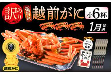 【訳あり】≪浜茹で≫指折れ 越前がに（小） × 6杯 食べ方しおり かにスプーン付き【雄 ズワイガニ ずわいがに 越前ガニ 姿 ボイル 冷蔵 福井県】【1月発送分】希望日指定可 備考欄に希望日をご記入ください [e15-x002_01]