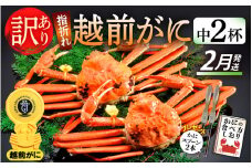 【訳あり】≪浜茹で≫指折れ 越前がに（中） × 2杯 食べ方しおり かにスプーン付き【雄 ズワイガニ ずわいがに 越前ガニ 姿 ボイル 冷蔵 福井県】【2月発送分】希望日指定可 備考欄に希望日をご記入ください [e15-x004_02]