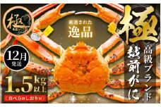 越前がに本場の越前町からお届け！ 越前がに極 浜茹で × 1杯（生で1.5kg以上） かにの食べ方しおり付き【かに カニ 蟹】【福井県 越前町 雄 ズワイガニ ボイル 冷蔵 越前ガニ 越前かに 越前カニ ずわいがに ずわい蟹 かに カニ 蟹】【12月発送分】希望日指定可 備考欄に希望日をご記入ください [e14-x012_12]