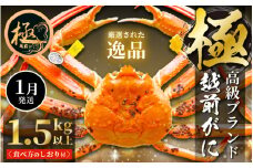 越前がに本場の越前町からお届け！ 越前がに極 浜茹で × 1杯（生で1.5kg以上） かにの食べ方しおり付き【かに カニ 蟹】【福井県 越前町 雄 ズワイガニ ボイル 冷蔵 越前ガニ 越前かに 越前カニ ずわいがに ずわい蟹 かに カニ 蟹】【1月発送分】希望日指定可 備考欄に希望日をご記入ください [e14-x012_01]