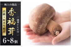 食べ甲斐あり大きなシイタケ！ 原木生椎茸「香福茸」6～8個 高級 極上の逸品！調理レシピ有 [e06-b002]