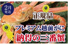 越前がに本場の越前町からお届け！ 越前がに × 1杯（三番蟹）納得のプレミアム越前がに【かに カニ 蟹】【福井県 越前町 雄 ズワイガニ 生 ボイル 冷蔵 越前ガニ 越前かに 越前カニ ずわいがに ずわい蟹 かに カニ 蟹】【2月発送分】【浜茹でお届け】希望日指定可 備考欄に希望日をご記入ください [e37-x004_02b]