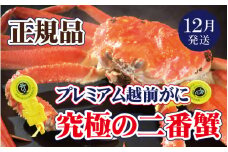 越前がに本場の越前町からお届け！ 越前がに × 1杯（二番蟹）究極のプレミアム越前がに【かに カニ 蟹】【福井県 越前町 雄 ズワイガニ 生 ボイル 冷蔵 越前ガニ 越前かに 越前カニ ずわいがに ずわい蟹 かに カニ 蟹】【12月発送分】【浜茹でお届け】希望日指定可 備考欄に希望日をご記入ください [e37-x005_12b]