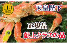 誉れ高き越前がに「皇室献上級」 × 1杯 桐箱入り！【雄 ズワイガニ ずわいがに 姿 生 ボイル 冷蔵 福井県】【11月発送分】【浜茹でお届け】希望日指定可 備考欄に希望日をご記入ください [e37-x011_11b]