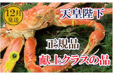 誉れ高き越前がに「皇室献上級」 × 1杯 桐箱入り！【雄 ズワイガニ ずわいがに 姿 生 ボイル 冷蔵 福井県】【12月発送分】【浜茹でお届け】希望日指定可 備考欄に希望日をご記入ください [e37-x011_12b]