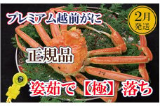 越前がに「極落ち」 × 1杯 桐箱入り！越前の至宝 最高ランクのプレミアム越前がに【雄 ズワイガニ ずわいがに 姿 生 ボイル 冷蔵 福井県】【2月発送分】【生でお届け】希望日指定可 備考欄に希望日をご記入ください [e37-x012_02a]