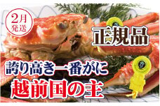 越前がに × 1杯（一番蟹）桐箱入り！越前国の主！越前がにの象徴【雄 ズワイガニ かに カニ 蟹 姿 生 ボイル 冷蔵 福井県】【2月発送分】【浜茹でお届け】希望日指定可 備考欄に希望日をご記入ください [e37-x010_02b]