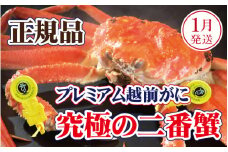 越前がに × 1杯（二番蟹）桐箱入り！究極のプレミアム越前がに【雄 ズワイガニ かに カニ 蟹 姿 生 ボイル 冷蔵 福井県】【1月発送分】【生でお届け】希望日指定可 備考欄に希望日をご記入ください [e37-x009_01a]
