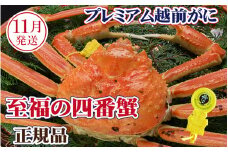 越前がに × 1杯（四番蟹）桐箱入り！至福のプレミアム越前がに【雄 ズワイガニ かに カニ 蟹 姿 生 ボイル 冷蔵 福井県】【11月発送分】【生でお届け】希望日指定可 備考欄に希望日をご記入ください [e37-x007_11a]