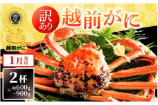 【訳あり】越前がに本場の越前町からお届け！ 越前がに 浜茹で600g～900g前後（※生重量） × 2杯 かにの食べ方しおり付き【かに カニ 蟹】【福井県 越前町 雄 ズワイガニ ボイル 冷蔵 越前ガニ 越前かに 越前カニ ずわいがに ずわい蟹 かに カニ 蟹】【1月発送分】希望日指定可 備考欄に希望日をご記入ください [e14-x004_01]