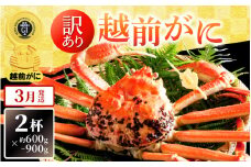 【訳あり】越前がに本場の越前町からお届け！ 越前がに 浜茹で600g～900g前後（※生重量） × 2杯 かにの食べ方しおり付き【かに カニ 蟹】【福井県 越前町 雄 ズワイガニ ボイル 冷蔵 越前ガニ 越前かに 越前カニ ずわいがに ずわい蟹 かに カニ 蟹】【3月発送分】希望日指定可 備考欄に希望日をご記入ください [e14-x004_03]