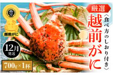 越前がに本場の越前町からお届け！ 越前がに 浜茹で 小サイズ（生で700g以上） × 1杯 食べ方しおり付き【かに カニ 蟹】【福井県 越前町 雄 ズワイガニ ボイル 冷蔵 越前ガニ 越前かに 越前カニ ずわいがに ずわい蟹 かに カニ 蟹】【12月発送分】希望日指定可 備考欄に希望日をご記入ください [e14-x005_12]