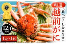 越前がに本場の越前町からお届け！ 越前がに 浜茹で 大サイズ（生で1kg以上） × 1杯 かにの食べ方しおり付き【かに カニ 蟹】【福井県 越前町 雄 ズワイガニ ボイル 冷蔵 越前ガニ 越前かに 越前カニ ずわいがに ずわい蟹 かに カニ 蟹】【12月発送分】希望日指定可 備考欄に希望日をご記入ください [e14-x007_12]