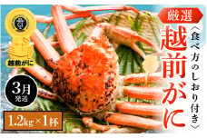 越前がに本場の越前町からお届け！ 越前がに 浜茹で 特大サイズ（生で1.2kg以上） × 1杯 かにの食べ方しおり付き【かに カニ 蟹】【福井県 越前町 雄 ズワイガニ ボイル 冷蔵 越前ガニ 越前かに 越前カニ ずわいがに ずわい蟹 かに カニ 蟹】【3月発送分】希望日指定可 備考欄に希望日をご記入ください [e14-x009_03]
