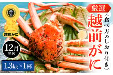 越前がに本場の越前町からお届け！ 越前がに 浜茹で 特大サイズ（生で1.3kg以上） × 1杯 かにの食べ方しおり付き【かに カニ 蟹】【福井県 越前町 雄 ズワイガニ ボイル 冷蔵 越前ガニ 越前かに 越前カニ ずわいがに ずわい蟹 かに カニ 蟹】【12月発送分】希望日指定可 備考欄に希望日をご記入ください [e14-x010_12]