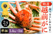 越前がに本場の越前町からお届け！ 越前がに 浜茹で 準極（生で1.4kg以上） × 1杯 かにの食べ方しおり付き【かに カニ 蟹】【福井県 越前町 雄 ズワイガニ ボイル 冷蔵 越前ガニ 越前かに 越前カニ ずわいがに ずわい蟹 かに カニ 蟹】【2月発送分】希望日指定可 備考欄に希望日をご記入ください [e14-x011_02]