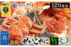 浜茹で 越前せいこがに≪竹セット≫2～3人前 かに酢 食べ方しおり スプーン付き【雌 ズワイガニ】【カニ 越前ガニ セコガニ カニみそ】【特大サイズ：220～240g × 2杯（※茹で前重量）】【12月発送分】希望日指定可 備考欄に希望日をご記入ください [e04-x011_12a]