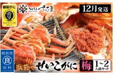 浜茹で 越前せいこがに≪梅セット≫1～2人前 かに酢 食べ方しおり スプーン付き【雌 ズワイガニ】【カニ 越前ガニ セコガニ カニみそ】【特大サイズ：220 ～ 240g × 1杯（※茹で前重量）】【12月発送分】希望日指定可 備考欄に希望日をご記入ください [e04-x012_12a]