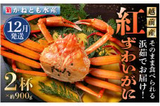 ≪浜茹で≫越前産 紅ずわいがに 約900g × 2杯 食べ方しおり付【紅ズワイガニ カニ かに 蟹 姿 ボイル 冷蔵 福井県】【12月発送分】希望日指定不可 [e14-x001_12]