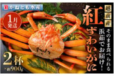 ≪浜茹で≫越前産 紅ずわいがに 約900g × 2杯 食べ方しおり付【紅ズワイガニ カニ かに 蟹 姿 ボイル 冷蔵 福井県】【1月発送分】 [e14-x001_01]