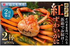 ≪浜茹で≫越前産 紅ずわいがに 約900g × 2杯 食べ方しおり付【紅ズワイガニ カニ かに 蟹 姿 ボイル 冷蔵 福井県】【2月発送分】希望日指定不可 [e14-x001_02]