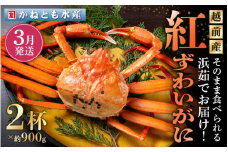 ≪浜茹で≫越前産 紅ずわいがに 約900g × 2杯 食べ方しおり付【紅ズワイガニ カニ かに 蟹 姿 ボイル 冷蔵 福井県】【3月発送分】希望日指定不可 [e14-x001_03]