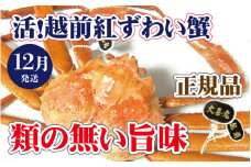 活！越前 紅ずわいがに × 1杯 旨味満点！！【紅ズワイガニ 紅ずわい蟹 かに カニ 蟹 姿 生 ボイル 冷蔵 福井県】【12月発送分】【生でお届け】希望日指定不可 [e37-x002_12a]